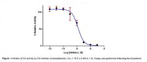 Carbonic Anhydrase (CA) Inhibitor Screening Kit (Colorimetric), BioVision, Inc.