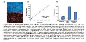 EZCell™ Glutathione Detection Kit (Blue Fluorescence), BioVision, Inc.