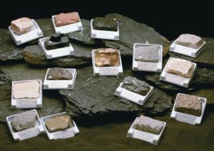 Ward's® Classroom Rock Collection