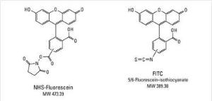 5(6)-Carboxyfluorescein N-hydroxysuccinimide ester ≥90% (by HPLC) fluorescent dye, Pierce™