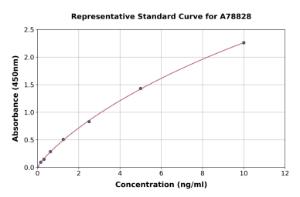 Representative standard curve for Human Syntenin 2 ELISA kit (A78828)