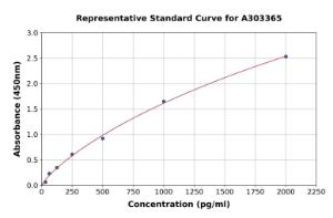 Representative standard curve for Human JNK3 ELISA kit (A303365)