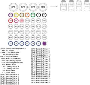PCR-cDNA barcoding kit 24 contents