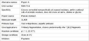 Pierce™ Immobilized Pepsin (Agarose Resin), Thermo Scientific