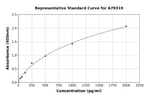 Representative standard curve for Human Fas ELISA kit (A79319)