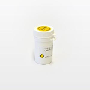 Aurion immunogold donkey-anti-mouse IgG, µltrasmall