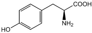 L(-)-Tyrosine 99%