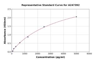 Representative standard curve for Human RBPJK ELISA kit (A247392)