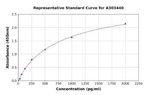 Representative standard curve for Mouse Claudin 5 ELISA kit (A303440)