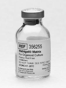 Matrigel® Matrix for Organoid Culture
