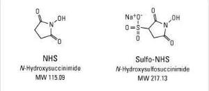 Sulfo-NHS (N-Hydroxysulfosuccinimide sodium salt), Pierce™