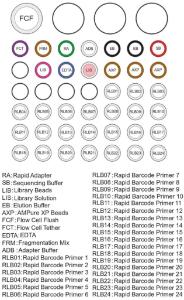 Rapid PCR barcoding kit 24 v14 contents