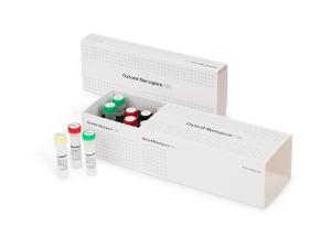 Rapid PCR barcoding kit 24 v14