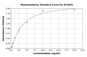 Representative standard curve for Human Bim ELISA kit (A74345)