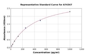 Representative standard curve for Rat FGF2 ELISA kit (A74347)