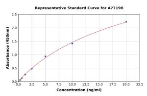 Representative standard curve for Mouse Prokineticin 2/PK2 ELISA kit (A77198)