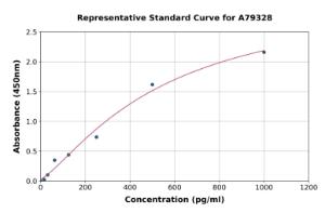 Representative standard curve for Rat FGF6 ELISA kit (A79328)