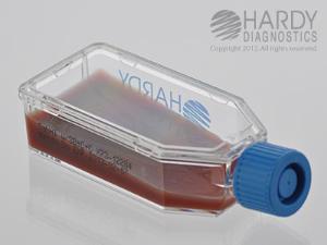 SabHI Agar with Blood, Chloramphenicol and Cycloheximide HardyFlask™, Hardy Diagnostics