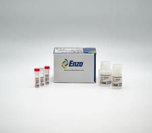 MITO-ID® Membrane Potential Detection Kit, Enzo Life Sciences