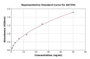 Representative standard curve for Horse Superoxide Dismutase 1 ELISA kit (A87355)