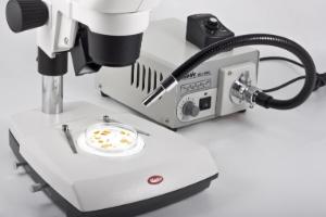 SMZ-171-BLED Binocular Stereo Microscope - detail 2