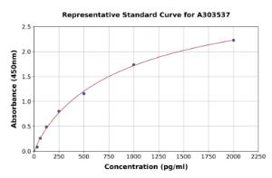 Representative standard curve for Mouse CD147 ELISA kit (A303537)