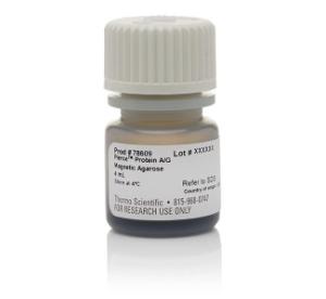 Pierce™ Protein A/G Magnetic Agarose, Thermo Scientific