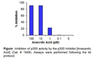 p300 Inhibitor Screening Assay Kit (Fluorometric), BioVision