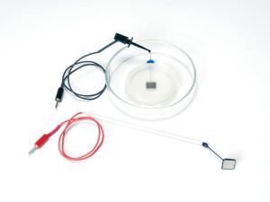 HBIO Petri Dish Platinum Electrodes for Tissue Slices Chamber Kita, BTX