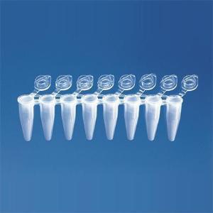 Strip PCR tube w/cap
