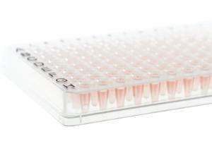 PCR 96 plate 0.15 ml skirted