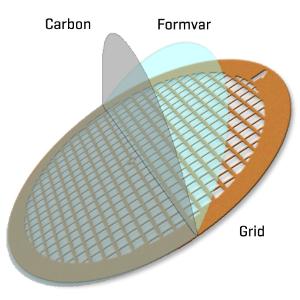 Formvar carbon support film on square grids