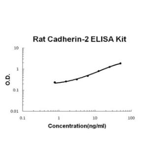 Rat Cadherin-2/N-Cadherin PicoKine ELISA Kit, Boster