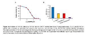 PAF Acetylhydrolase (PAF-AH) Inhibitor Screening Kit (Colorimetric), BioVision