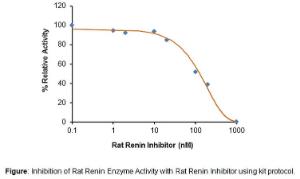 Rat Renin Inhibitor Screening Kit (Fluorometric), BioVision