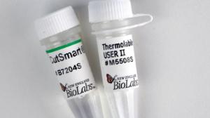 Enzyme thermolabile user ii 250 units