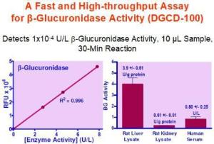 QuantiChrom™ β-Glucuronidase assay kit