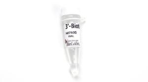 3-biotin-gtp 5 mm w/vaccinia 0.5 µmol