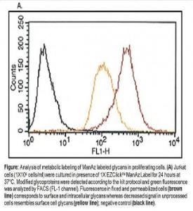 EZClick™ Sialic Acid (ManAz) Modified Glycoprotein Assay Kit (FACS/Microscopy, Green Fluorescence), BioVision