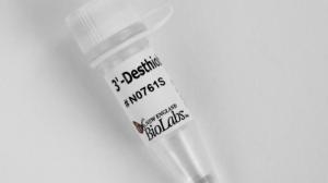 3'-desthiobiotin-gtp 5 mm neb 0.5 µmol