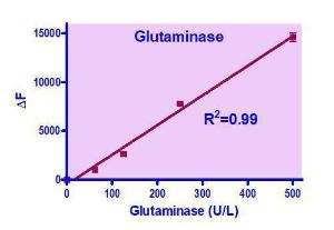 QuantiFluo™ glutaminase assay kit