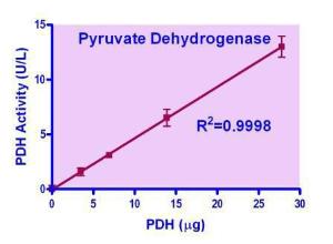 QuantiChrom™ Pyruvate dehydrogenase assay kit