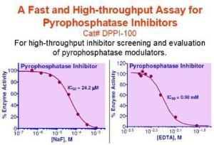QuantiChrom™ pyrophosphatase inhibitor assay kit