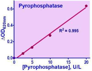 QuantiChrom™ Pyrophosphatase assay kit