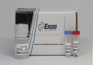 MITO-ID® Red Detection Kit (GFP-CERTIFIED®), Enzo Life Sciences