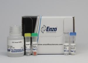 Cyto-ID® Autophagy Detection Kit, Enzo Life Sciences