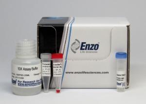 PROTEOSTAT® Aggresome Detection Kit, Enzo Life Sciences