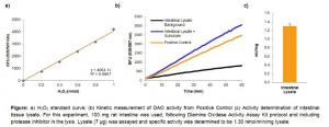 Diamine Oxidase Activity Assay Kit