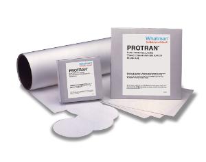 Whatman™ Protran® BA85 & BA83 NC Western Blotting Membranes, Nitrocellulose, Cytiva
