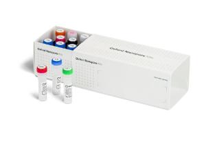 Direct RNA sequencing kit